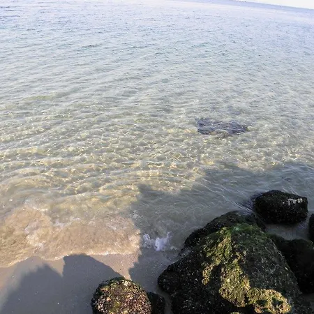 Runner On The Waves 아파트 *